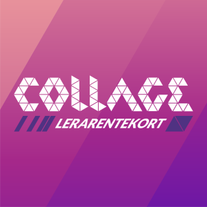 Collage Oplossing lerarentekort (Collage112)