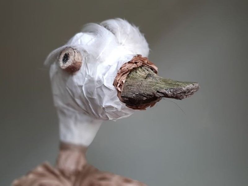 ducky