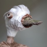ducky
