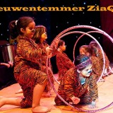 Ziaqua Leeuwentemmen