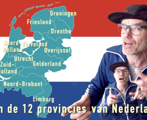 Screenshot DE PROVINCIE POLONAISE