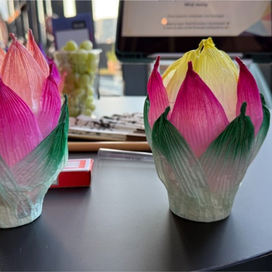 Lotus - Minji
