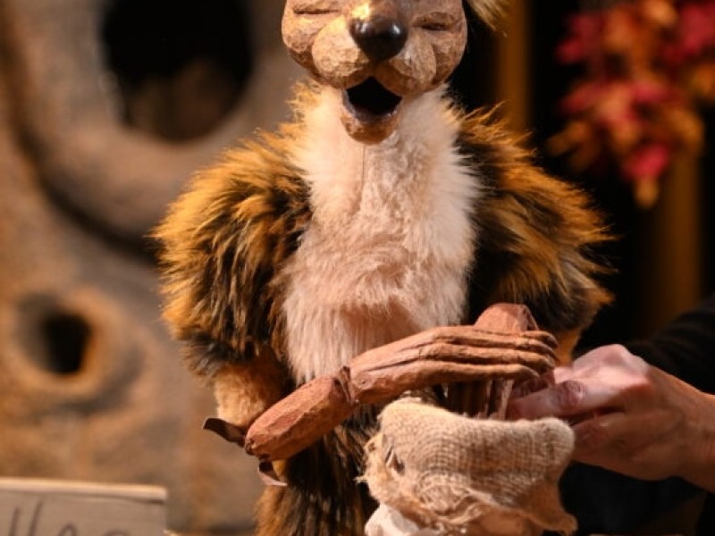 DSC_9109-546x821