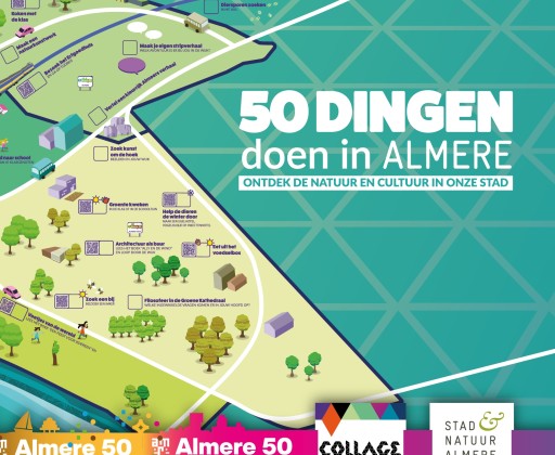 Poster 50b FBLI