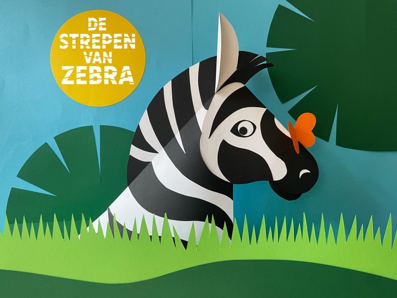 strepen_van_zebra_6