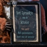Poppentheater (15 van 17)