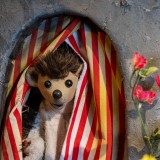 Poppentheater (8 van 13)