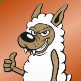 BdW - Bram de Wolf