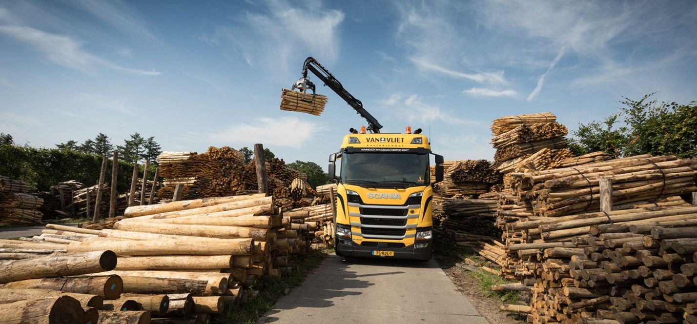 Een vrachtwagen die bomen optilt met een hijsarm