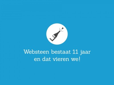 Een decoratief beeld met daarop de zin 'Websteen bestaat 11 jaar en dat vieren we!'