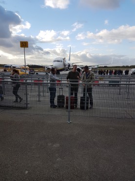 Medewerkers van Websteen tijdens hun trip naar Ibiza.