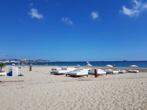 Medewerkers van Websteen tijdens hun trip naar Ibiza.