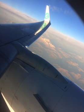 Medewerkers van Websteen tijdens hun trip naar Ibiza.