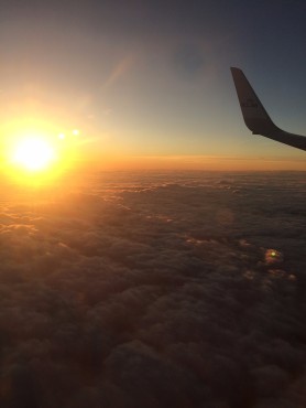 Medewerkers van Websteen tijdens hun trip naar Ibiza.
