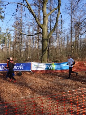 Medewerkers van Websteen tijdens het hardlopen.