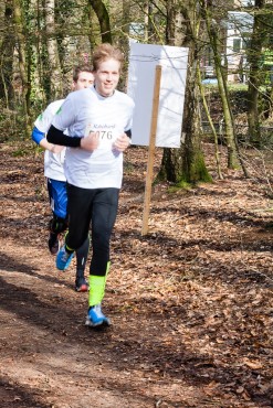 Team Websteen tijdens de Trappenbergloop.