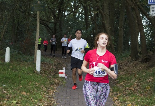 Medewerkers van Websteen aan het hardlopen tijdens de Wolfskamerloop.