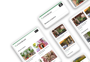 Laptop en telefoon met daarop de website van De Groenkrant