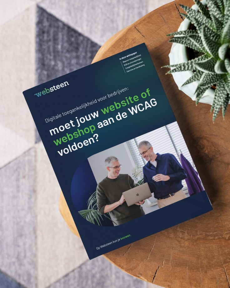 Het voorblad van onze whitepaper wcag in beeld
