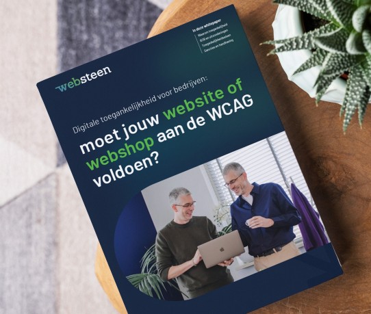 Het voorblad van onze whitepaper wcag in beeld