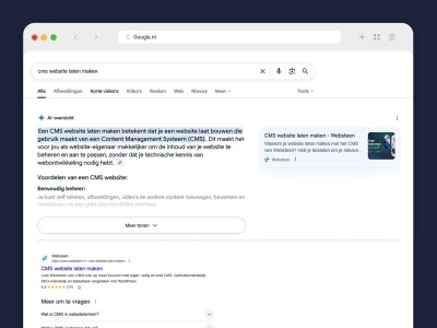 Google zoekresultaat met AI Overzichten