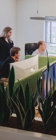 Employee of Websteen