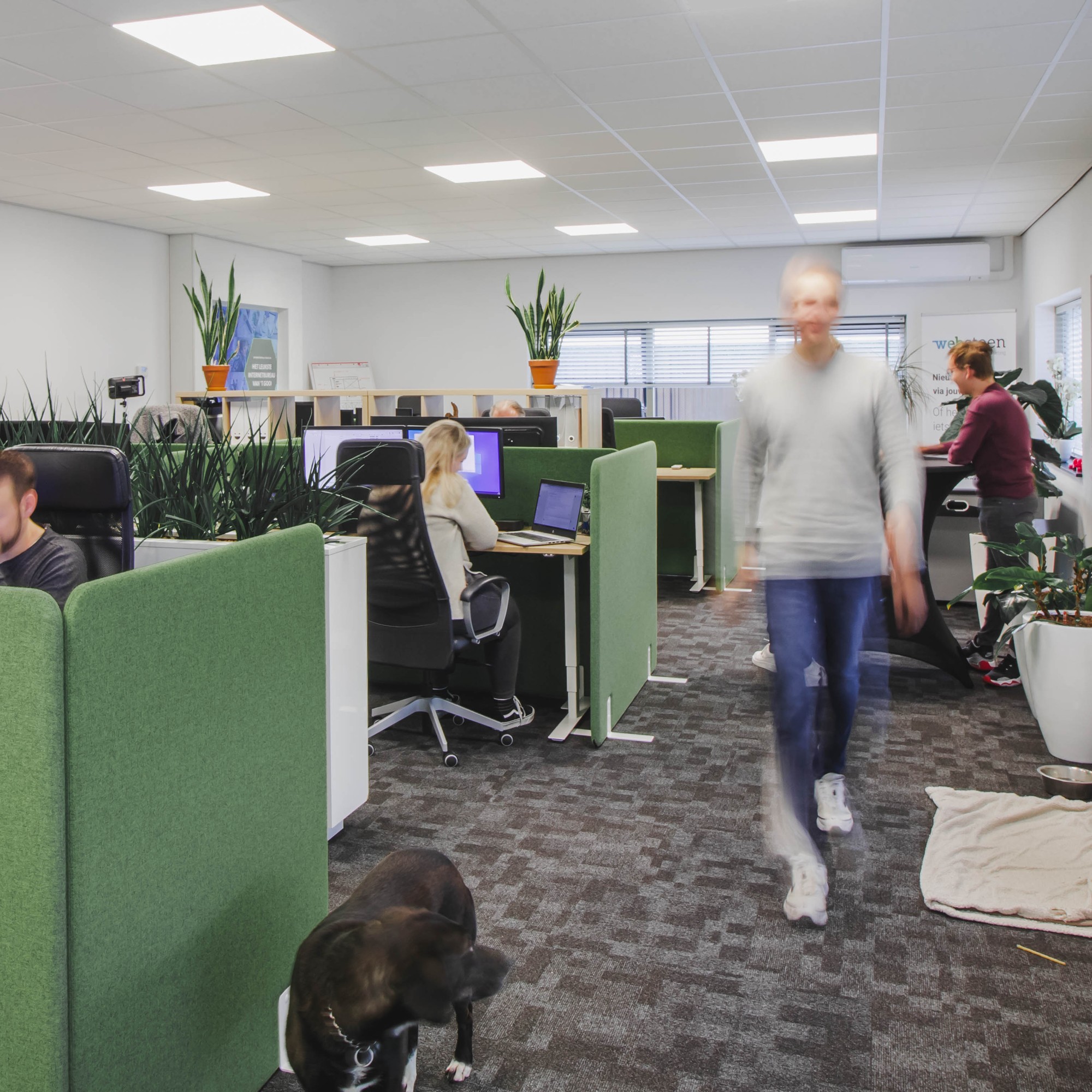 Photograph of Websteen's office with colleagues at work