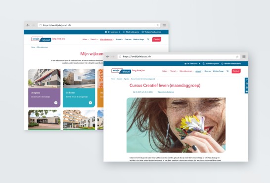Website voor Welzijn Lelystad
