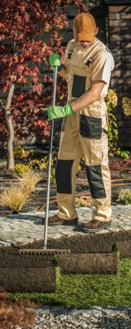 Hoveniersbedrijf website design met een foto van een strak aangelegde tuin.