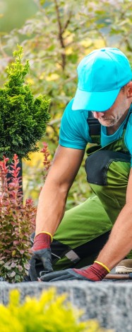 Hovenier realiseert tuinproject en laat een professionele website maken voor je hoveniersbedrijf.