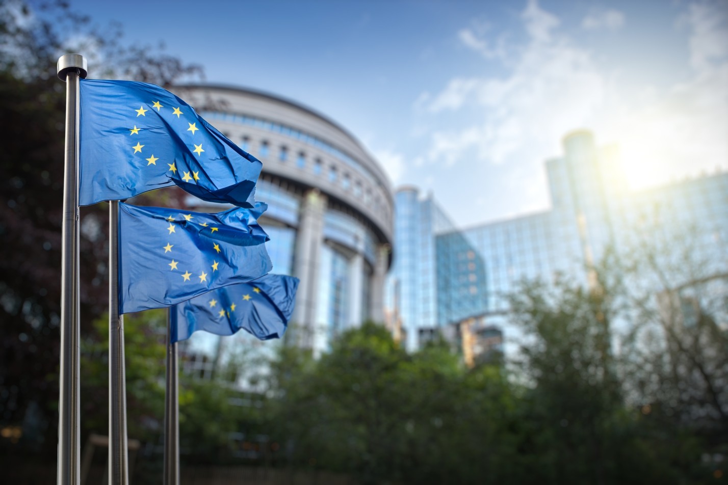Europese vlaggen met een gebouw op de achtergrond