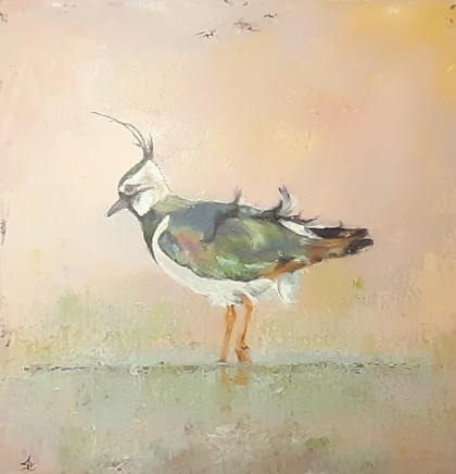 kievit acrylverf 40 x 40 cm