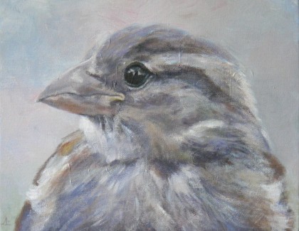jonge mus, acrylverf 24 x 30 cm