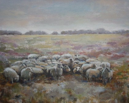 schaapskudde, olieverf 50 x 60 cm