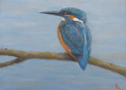 ijsvogel olieverf 24 x 30 cm