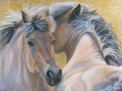 fjordenpaarden, acrylverf 50 x 70 cm