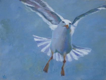 meeuw 1, 30 x 40 cm olieverf