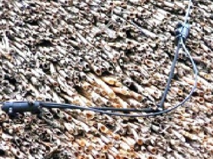 Rietendakbrand.nl