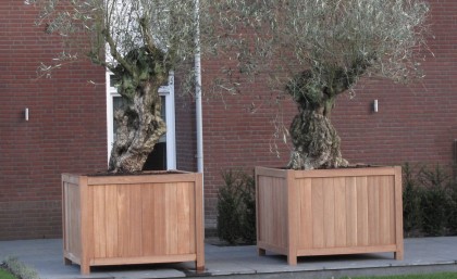 plantenbak-adezz-05