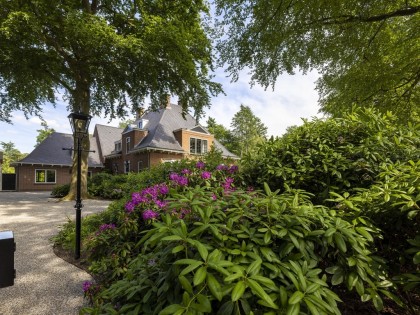 Project Flevolaan, Huizen