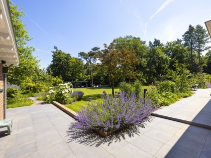 Project Flevolaan, Huizen