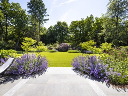 Project Flevolaan, Huizen