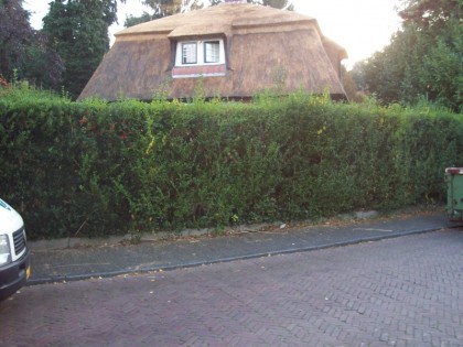 Jagersweg te Laren