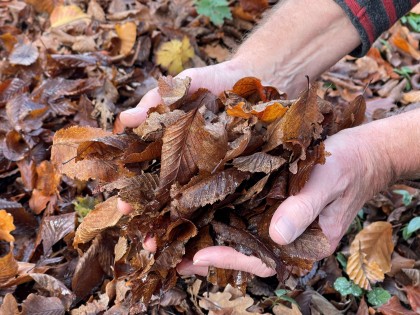 bladcompost MF