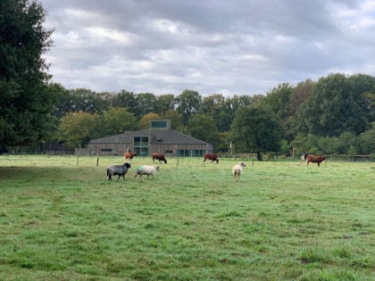 HGH oktober Het Groene Huis