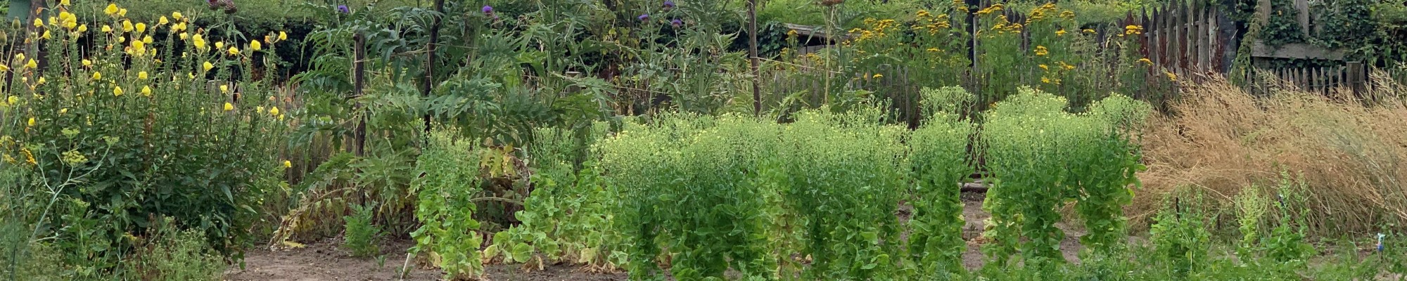 Moestuintjes.