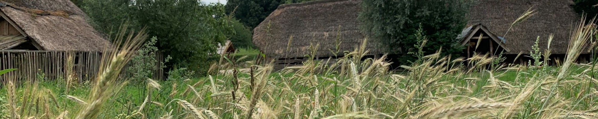 Akker op landgoed Schothorst.