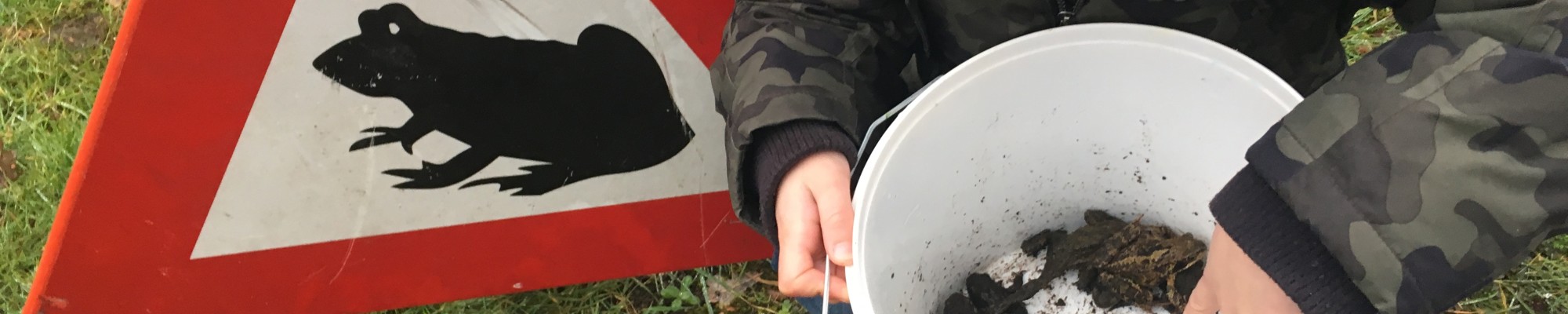 Kind met een emmer vol padden.