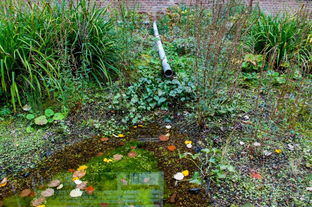 Tuin van Jan ©Merlijn Michon