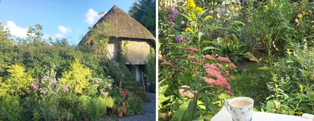 Nu tijd voor het tuinplan voor het voorjaar: doe je het zelf, of samen met de buurt?